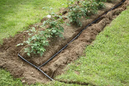 Yard Drainage